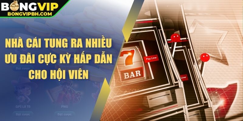 Nhà cái tung ra nhiều ưu đãi cực kỳ hấp dẫn cho hội viên