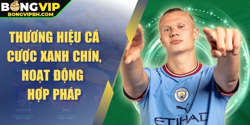 Thương hiệu cá cược xanh chín, hoạt động hợp pháp